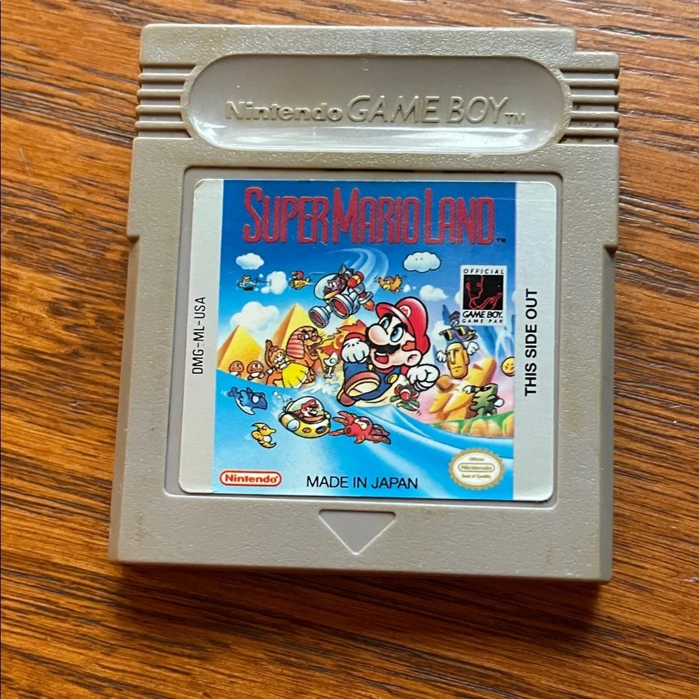 Nintendo gaming enthusiasts boy